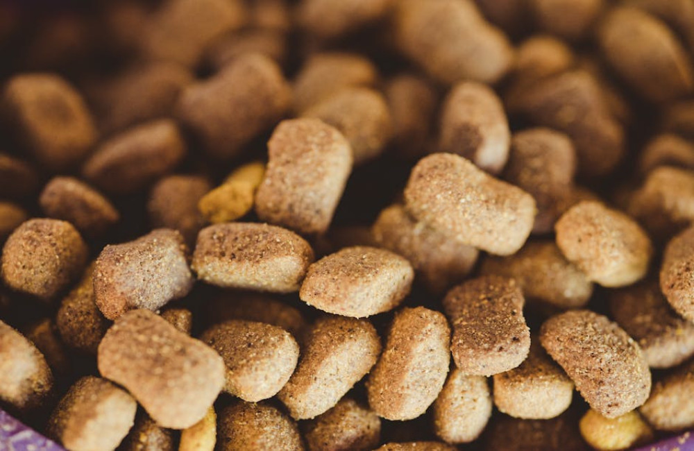 Natuurlijke hondensnacks en natuurlijke hondenvoer. Gezonde opties voor je huisdier!